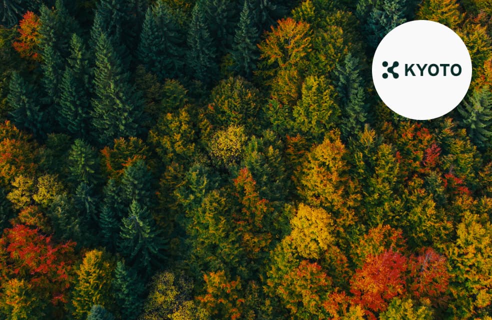 Rebuilding a Green L1: A Climate Protocol Case Study